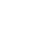 Shield and padlock icon